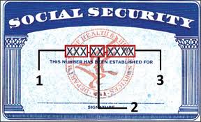 social security number netler